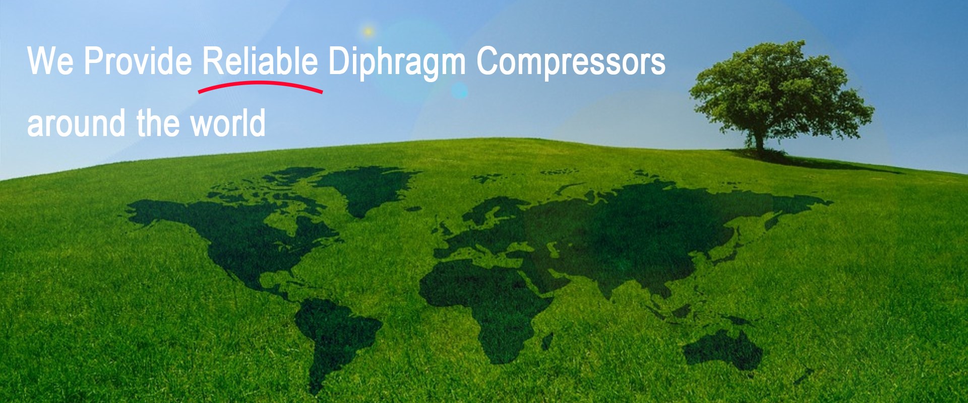 WEWE Diaphragm Compressor Manufactuer China